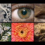 beko-harnesses-the-evocative-power-of-ai-motion-pictures