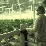 terrascend-reports-2020-financial-results-and-raises-full-year-2021-guidance