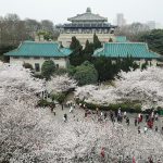 hot-dry-noodles,-yellow-crane-tower-and-bright-prospects:-wuhan-extends-invitation-to-global-visitors,-investors