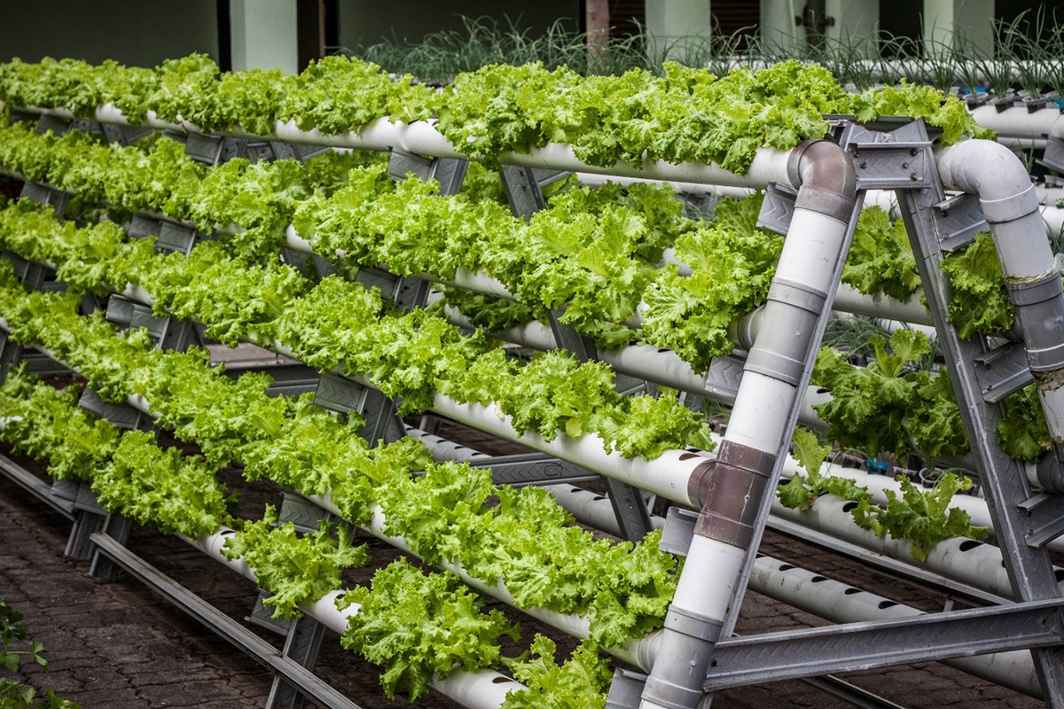 vertical-farming-market-size-worth-$2115-billion-by-2028-|-cagr:-236%:-grand-view-research,-inc.