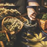canna-business-services-announces:-the-hottest-cannabis-market-you-don’t-want-to-miss