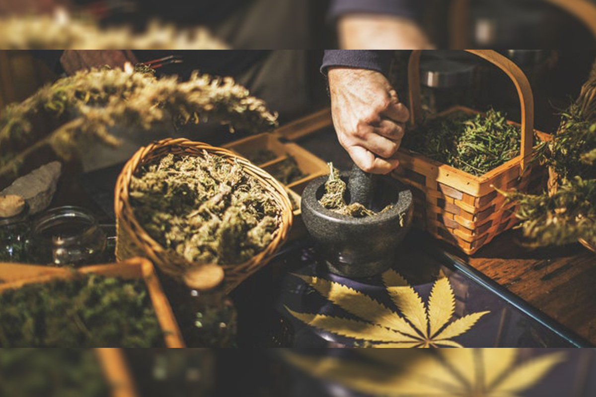 canna-business-services-announces:-the-hottest-cannabis-market-you-don’t-want-to-miss