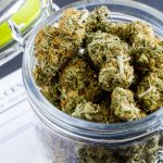 gncc-capital,-inc.-outlines-its-immediate-business-plans