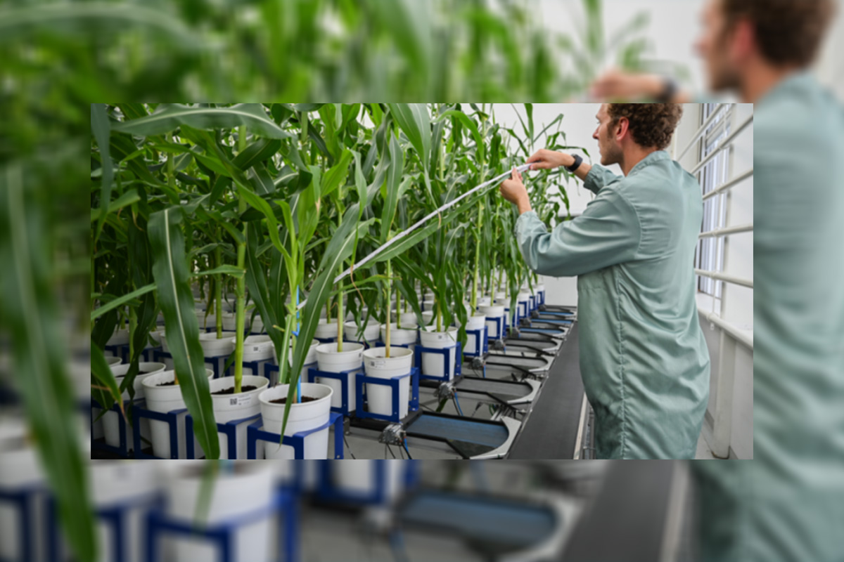 agricultural-biotechnology-market-revenue-worth-$106,870-million-by-2030,-says-p&s-intelligence