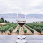 wine-market-size-worth-$68599-billion-by-2028-|-cagr:-64%:-grand-view-research,-inc.