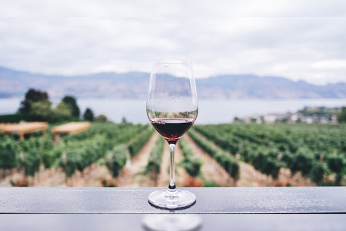 wine-market-size-worth-$68599-billion-by-2028-|-cagr:-64%:-grand-view-research,-inc.