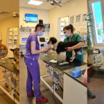 pragmatic-play-donates-e7,700-to-homeless-animal-hospital