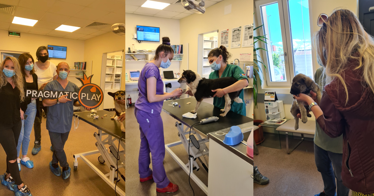 pragmatic-play-donates-e7,700-to-homeless-animal-hospital