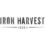 iron-harvest-1920+-–-the-american-union-of-usonia-is-ready-for-action