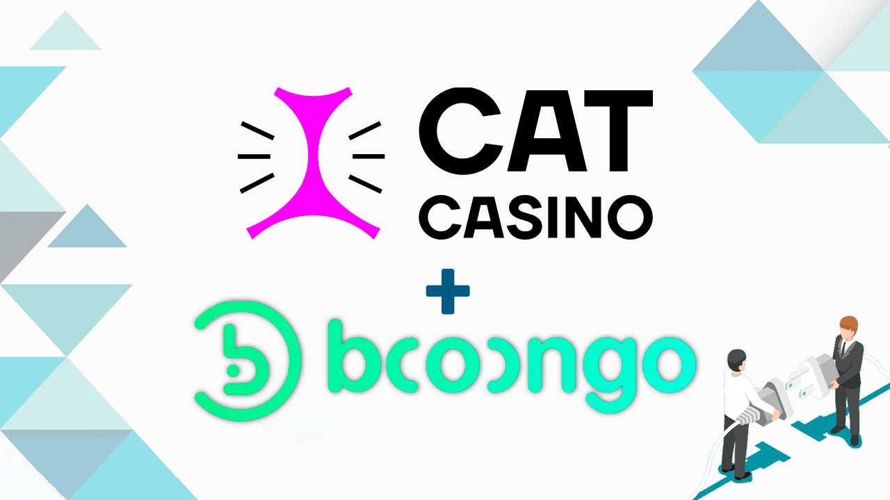 booongo-partners-with-catcasino-for-full-product-roll-out