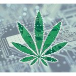 cannabis-industry-investor-conference:-company-executives-present-june-29th-&-30th