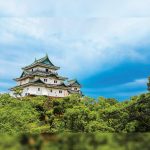 wakayama-to-announce-clairvest-neem-as-ir-partner