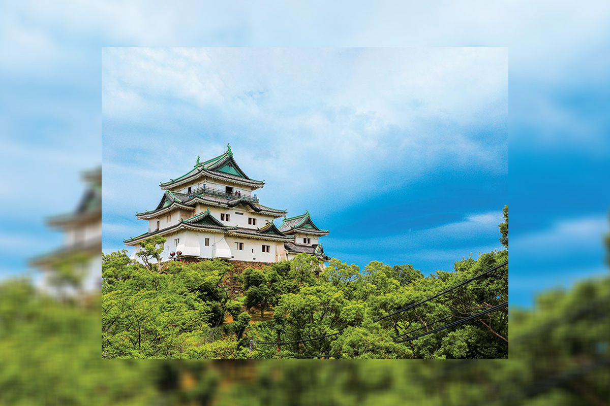 wakayama-to-announce-clairvest-neem-as-ir-partner