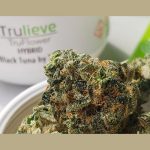 trulieve-completes-acquisition-of-solevo-wellness-west-virginia