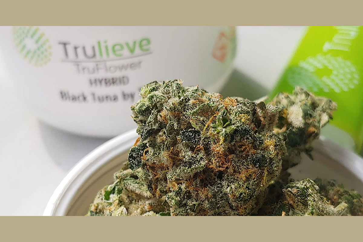 trulieve-completes-acquisition-of-solevo-wellness-west-virginia