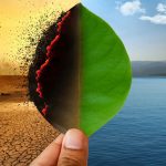 indian-leaders-meet-challenges-of-climate-change-and-inequality,-says-accountancy-chief