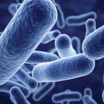 antimicrobial-coatings-market-generated-around-$3.6-billion-revenue-in-2020:-p&s-intelligence