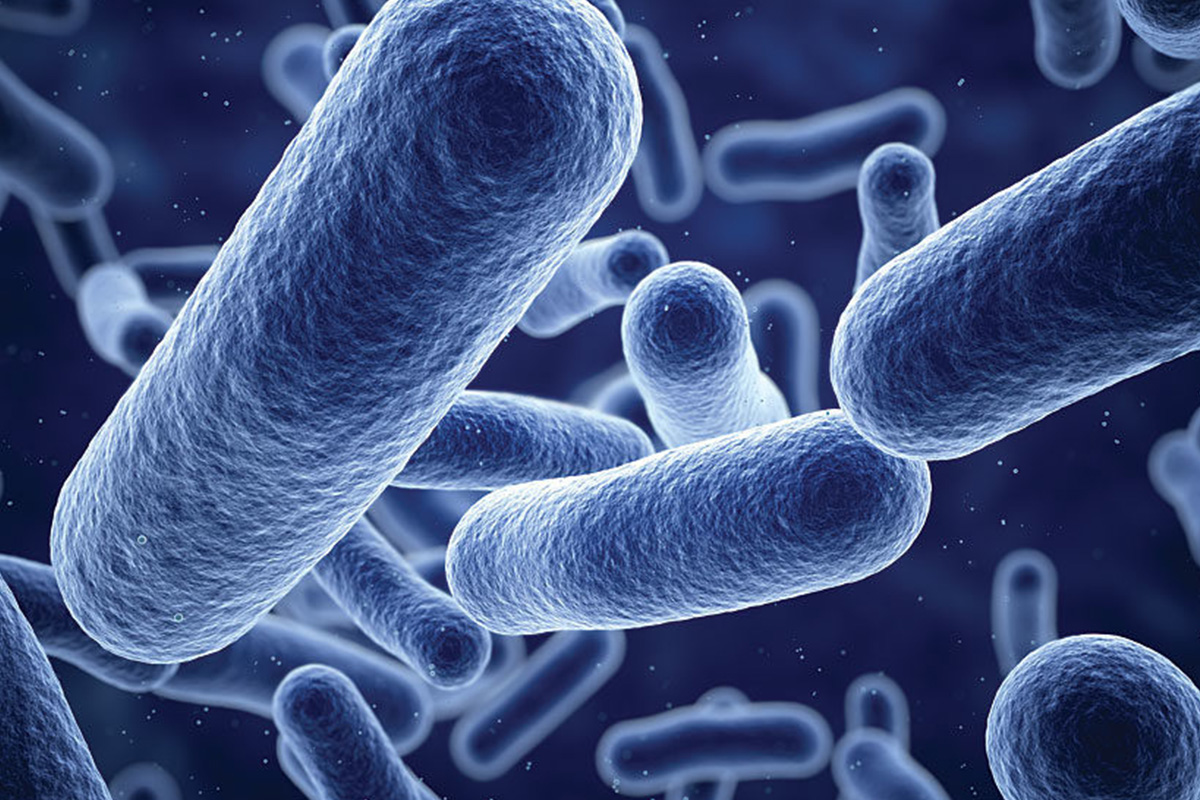 antimicrobial-coatings-market-generated-around-$3.6-billion-revenue-in-2020:-p&s-intelligence