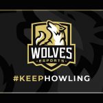 wolves-esports-enter-king-pro-league-following-takeover