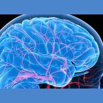 neurovascular-catheters-market-size-worth-$483-billion-by-2028:-grand-view-research,-inc.