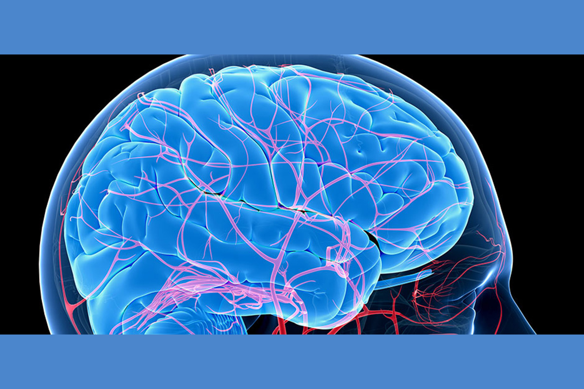 neurovascular-catheters-market-size-worth-$483-billion-by-2028:-grand-view-research,-inc.