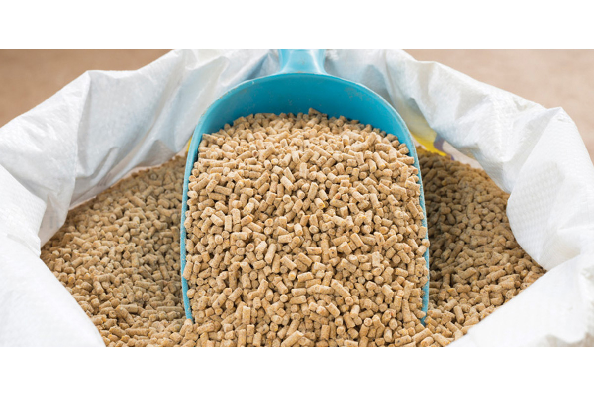 animal-nutrition-organic-acids-market-size-worth-$1871-million-by-2028:-grand-view-research,-inc.