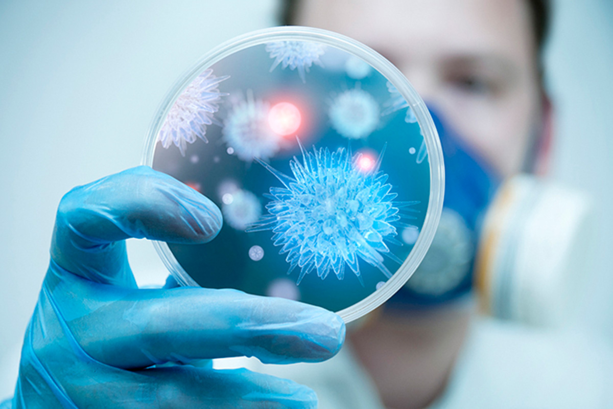 infectious-disease-molecular-diagnostics-market-size-worth-$408-billion-by-2028:-grand-view-research,-inc.