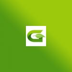 greenlight-distribution-hires-erik-elder-as-new-director-of-sales