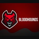 intema-completes-acquisition-of-team-bloodhounds