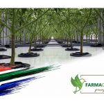 cantourage-partners-with-farmagrowers-to-bring-the-first-south-african-medical-cannabis-to-germany