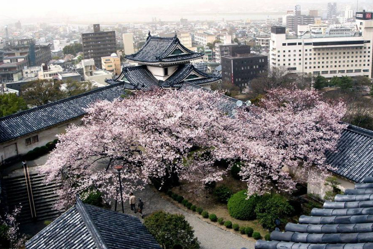 japan-opens-application-window-for-ir-submissions