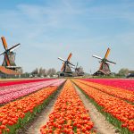 blueprint-gaming-strengthens-netherlands-regulated-market-presence-with-holland-casino