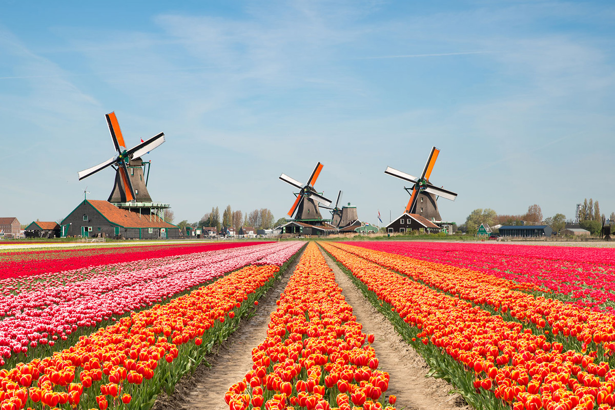 blueprint-gaming-strengthens-netherlands-regulated-market-presence-with-holland-casino