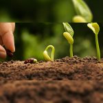 biostimulants-market-worth-$5.6-billion-by-2026-–-exclusive-report-by-marketsandmarkets