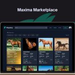 maxima-launches-the-first-racehorse-nft-marketplace-where-anyone-can-own-horses-and-earn