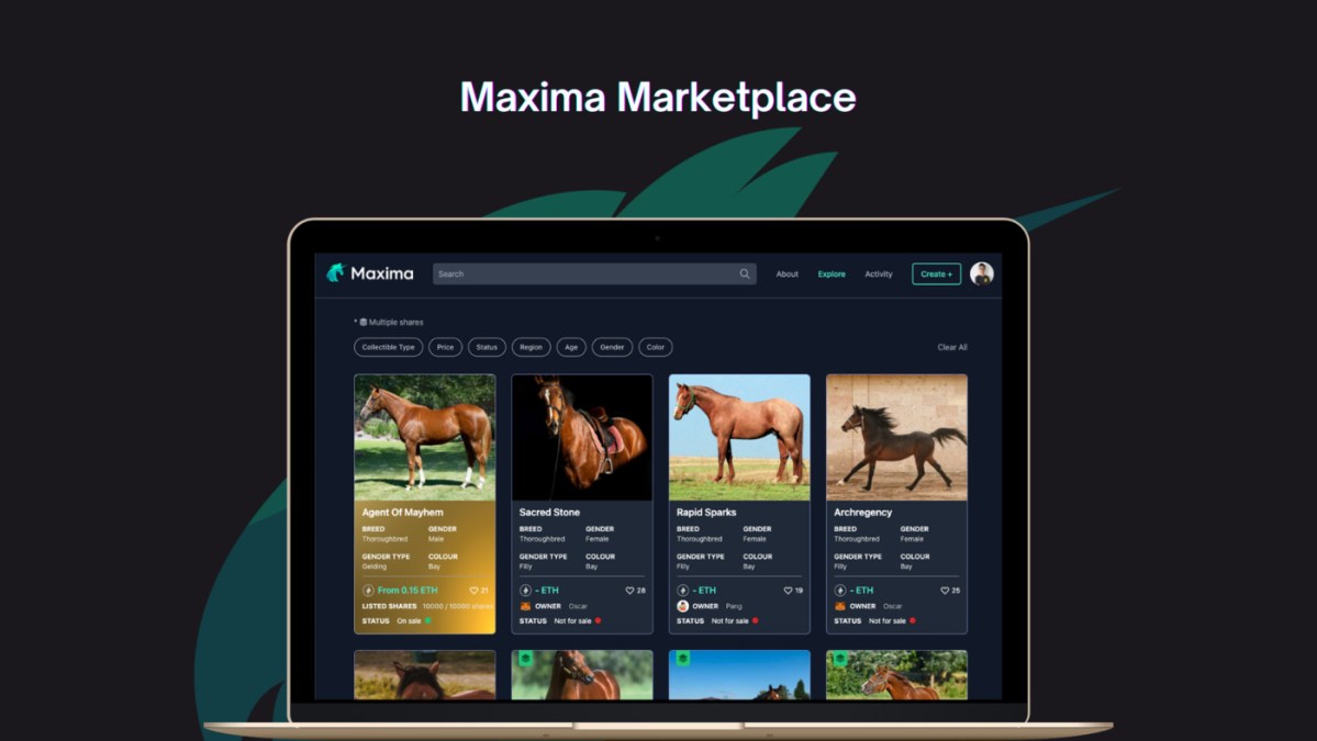 maxima-launches-the-first-racehorse-nft-marketplace-where-anyone-can-own-horses-and-earn