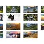 the-ultimate-julian-alps-sensory-adventure-–-when-an-nft-becomes-a-unique-experience-in-slovenia