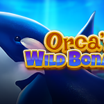 yggdrasil-set-for-aquatic-adventure-in-boomerang’s-orca’s-wild-bonanza