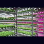 indoor-farming-technology-market-worth-$32.3-billion-by-2028-–-exclusive-report-by-marketsandmarkets