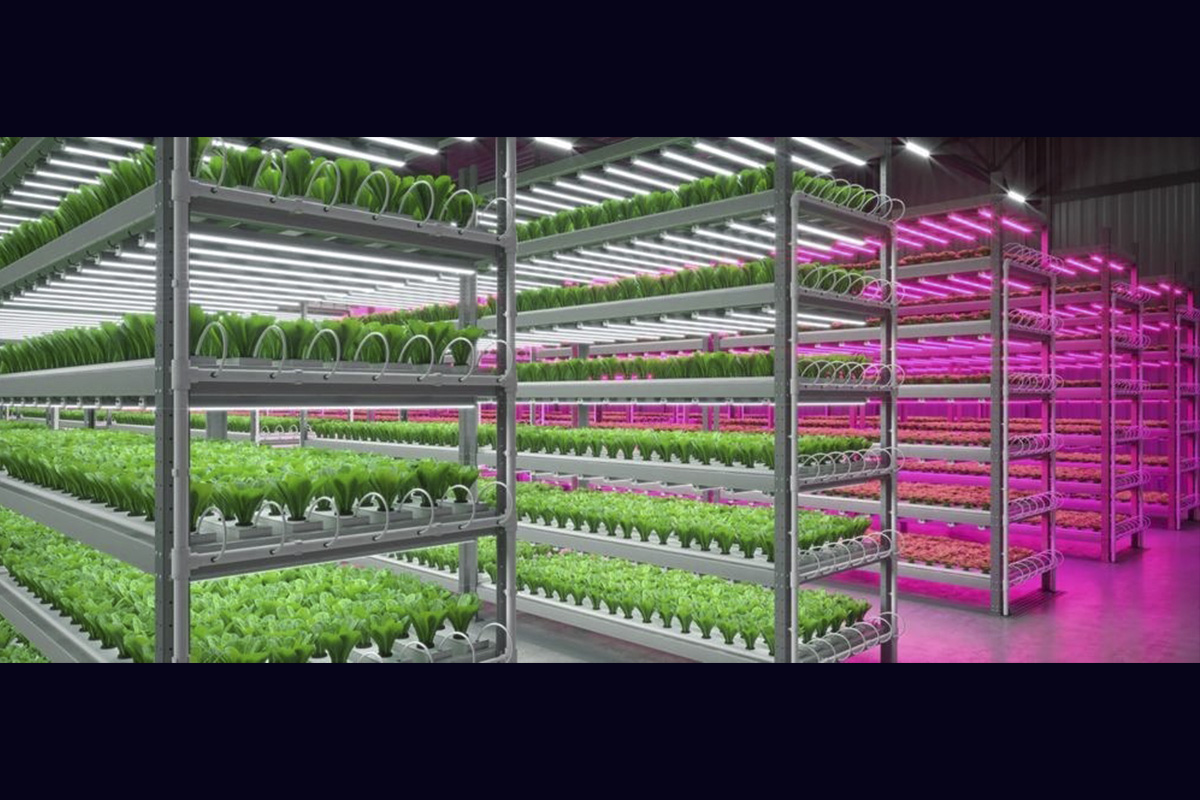 indoor-farming-technology-market-worth-$32.3-billion-by-2028-–-exclusive-report-by-marketsandmarkets