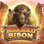 btg’s-big-bad-bison-hits-evolution-network-june-14