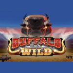 mancala-gaming-releases-buffalo-goes-wild