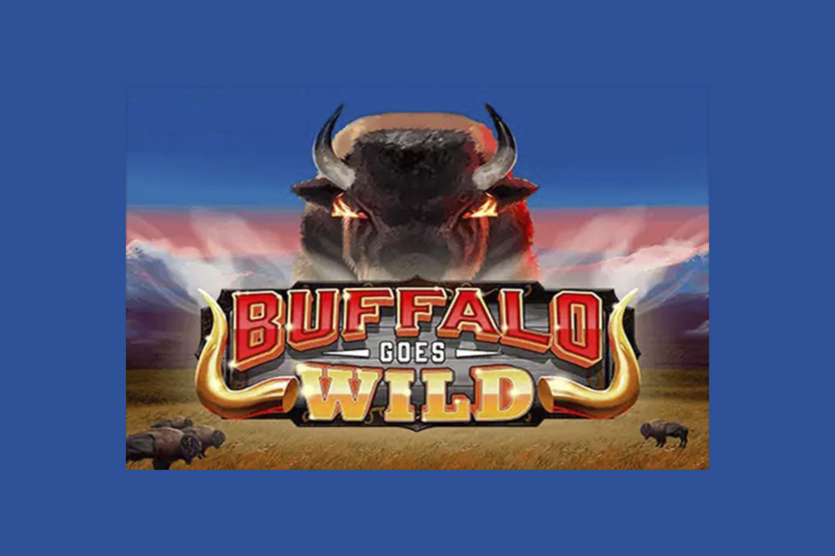 mancala-gaming-releases-buffalo-goes-wild