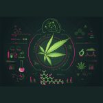 cannabis-technology-market-to-hit-$2346-billion-by-2030:-grand-view-research,-inc.