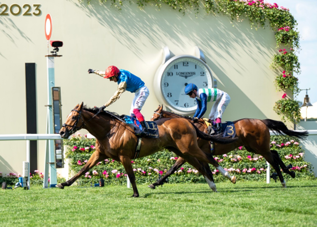 new-individual-world-pool-race-turnover-record-and-exceptional-value-at-royal-ascot