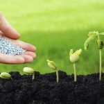 biopesticides-market-worth-$13.9-billion-by-2028-–-exclusive-report-by-marketsandmarkets