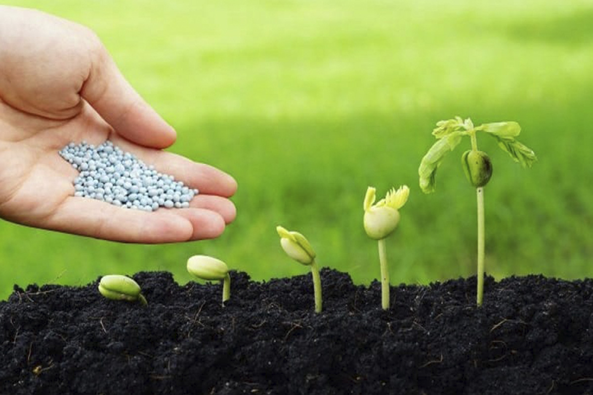 biopesticides-market-worth-$13.9-billion-by-2028-–-exclusive-report-by-marketsandmarkets