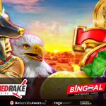 red-rake-gaming-expands-collaboration-across-netherlands-with-bingoal