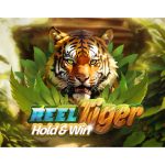 new-game-release-–-‘reel-tiger’-now-available