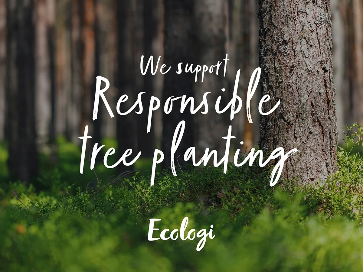 merkur-uk-360-program-funds-the-planting-of-25,000-trees